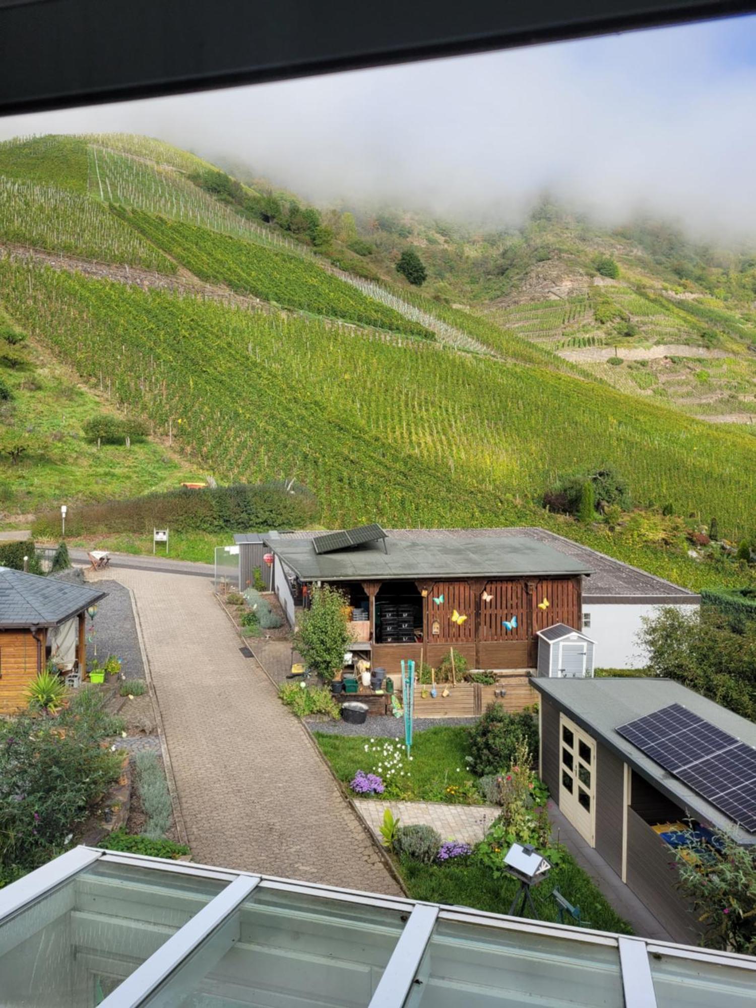 Ferienwohnung Haus Am Calmont Bremm Exteriör bild